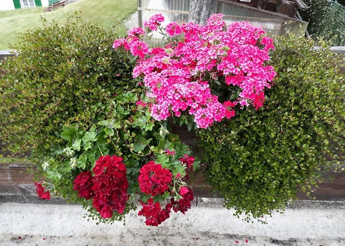 Isoldes * 拜尔斯布龙