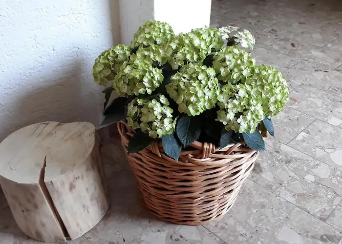 Isoldes 公寓 拜尔斯布龙